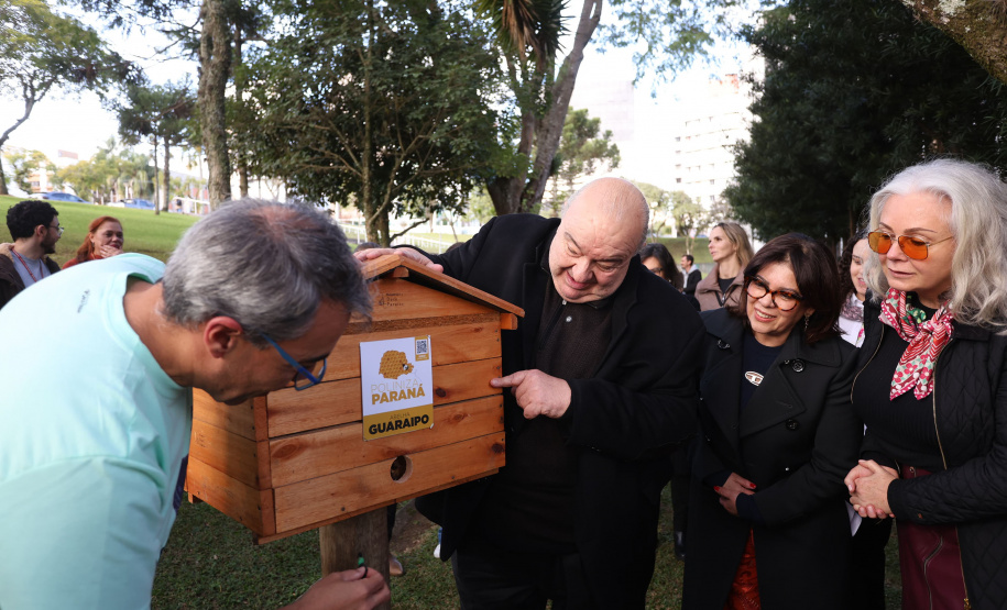 Poliniza Paraná: sede do Ministério Público do Paraná, em Curitiba, ganhou quatro meliponários nesta sexta-feira (13)