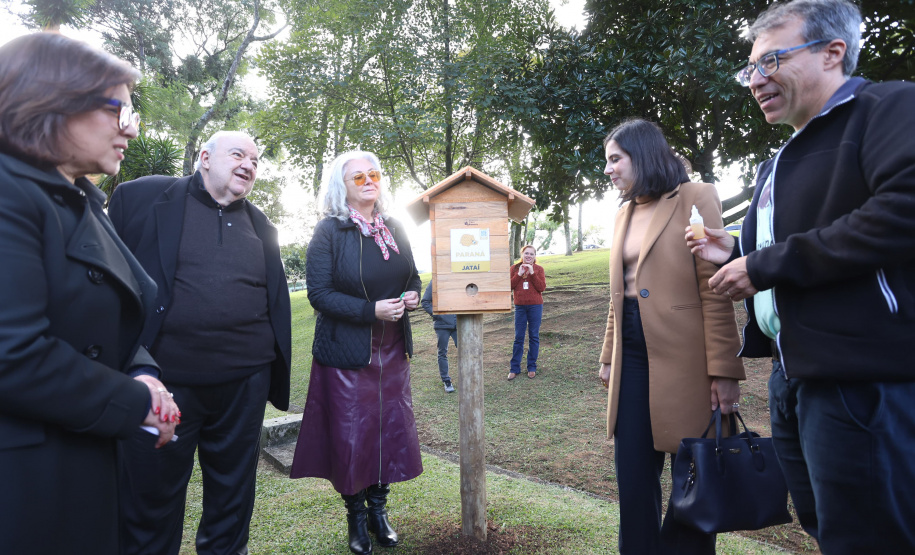 Poliniza Paraná: sede do Ministério Público do Paraná, em Curitiba, ganhou quatro meliponários nesta sexta-feira (13)