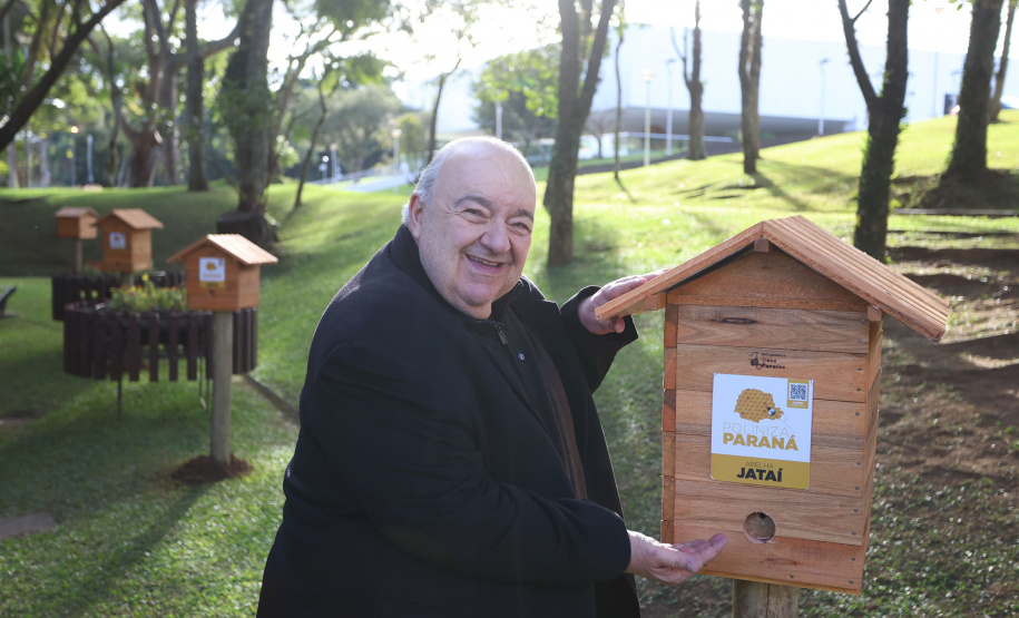 Poliniza Paraná: sede do Ministério Público do Paraná, em Curitiba, ganhou quatro meliponários nesta sexta-feira (13)