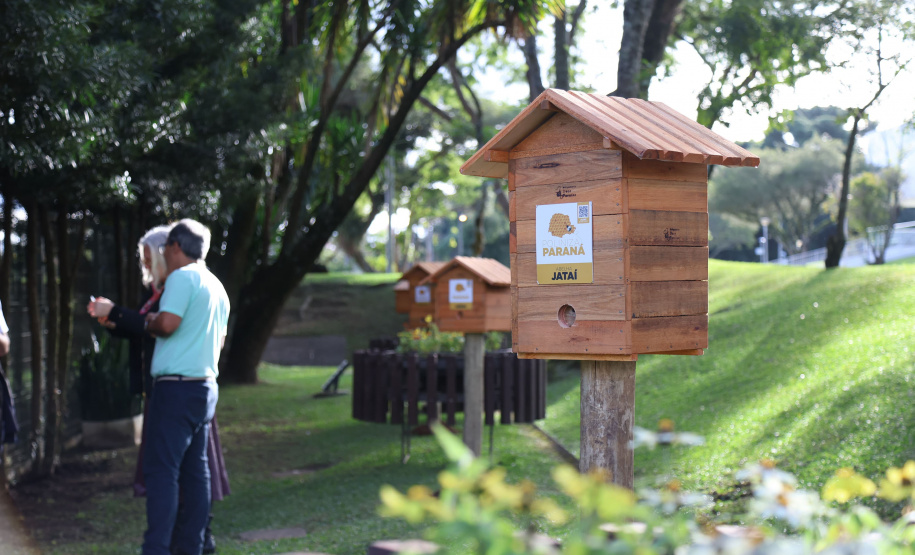 Poliniza Paraná: sede do Ministério Público do Paraná, em Curitiba, ganhou quatro meliponários nesta sexta-feira (13)