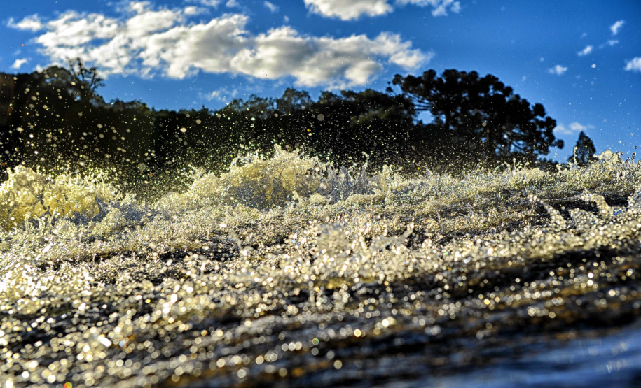 Denis Ferreira Netto/SEDEST