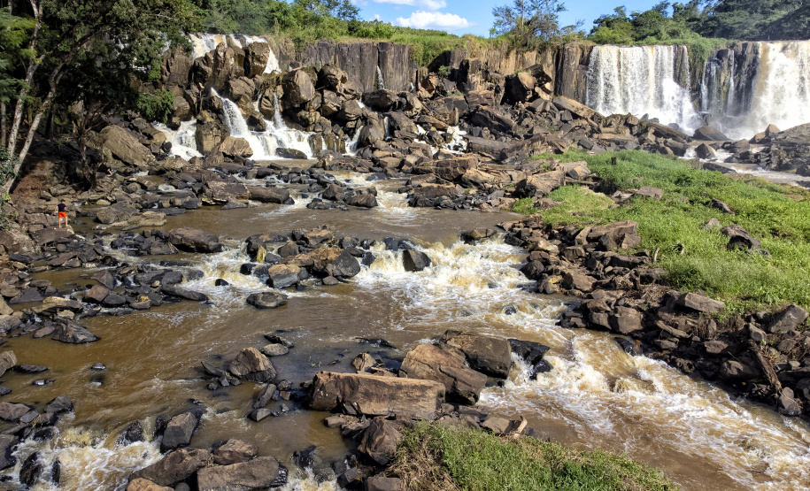 Recuperação de áreas verdes, combate ao desmatamento, cuidados com a água e a fauna e destinação correta dos resíduos sólidos: os indicadores que transformaram o Paraná em referência na proteção ao meio ambiente.