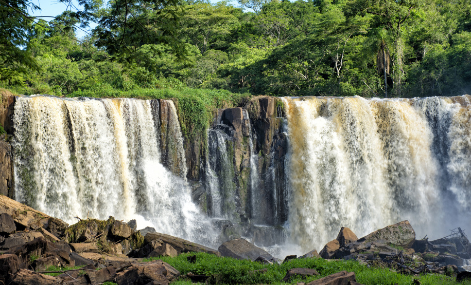 Recuperação de áreas verdes, combate ao desmatamento, cuidados com a água e a fauna e destinação correta dos resíduos sólidos: os indicadores que transformaram o Paraná em referência na proteção ao meio ambiente.