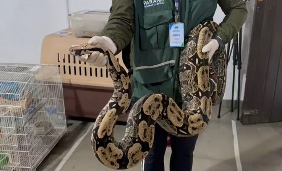 PCPR deflagra operação para desarticular um dos maiores grupos de tráfico internacional de animais do País