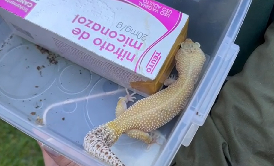 PCPR deflagra operação para desarticular um dos maiores grupos de tráfico internacional de animais do País