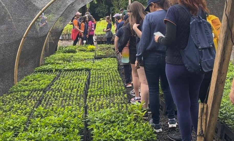 Ações do IAT durante a Semana do Meio Ambiente mobilizaram mais de 20 mil pessoas em todas as regiões do Paraná