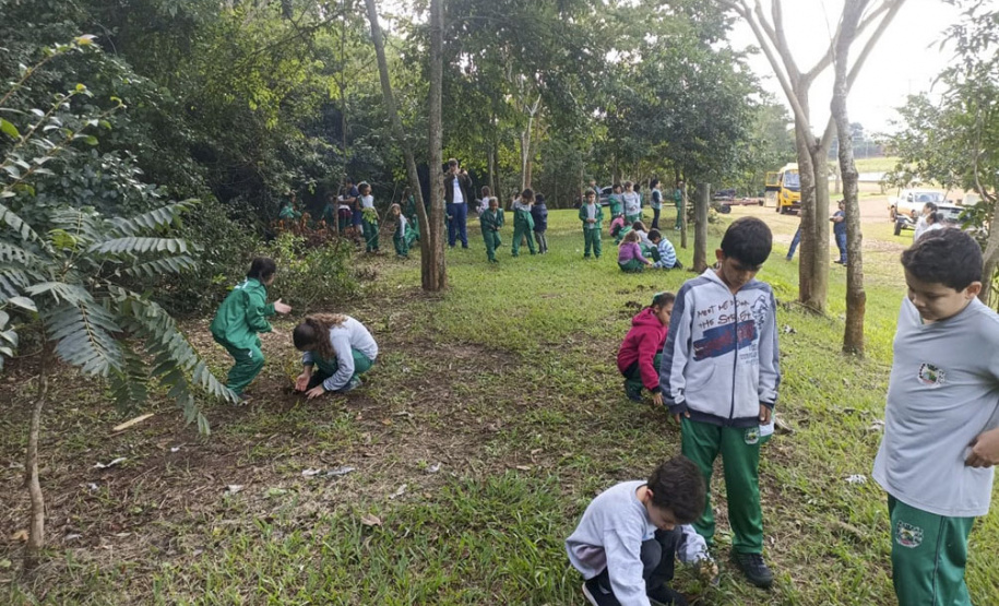Ações do IAT durante a Semana do Meio Ambiente mobilizaram mais de 20 mil pessoas em todas as regiões do Paraná