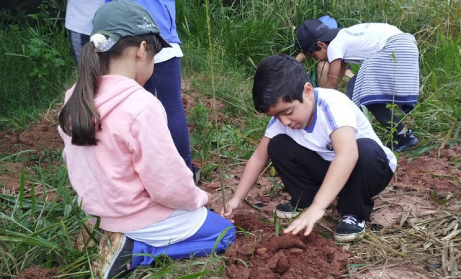 Ações do IAT durante a Semana do Meio Ambiente mobilizaram mais de 20 mil pessoas em todas as regiões do Paraná