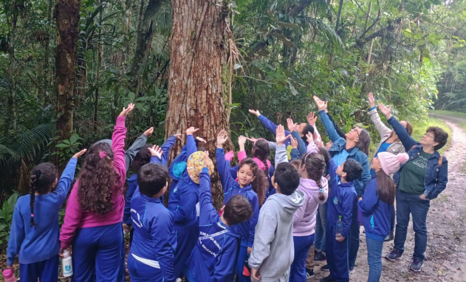 Educação ambiental no Litoral