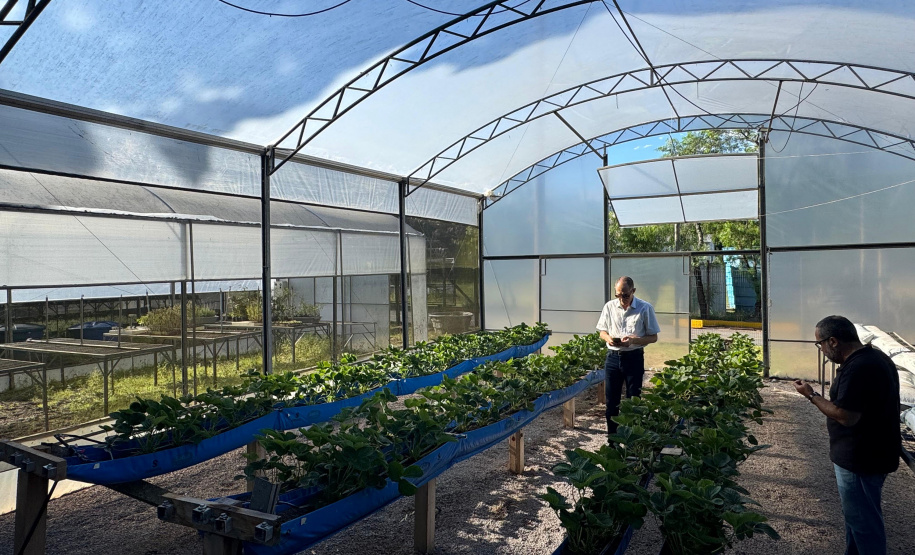 Paraná lidera inovação com tecnologia europeia adaptada para agricultura tropical