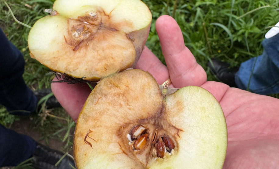 Paraná lidera inovação com tecnologia europeia adaptada para agricultura tropical