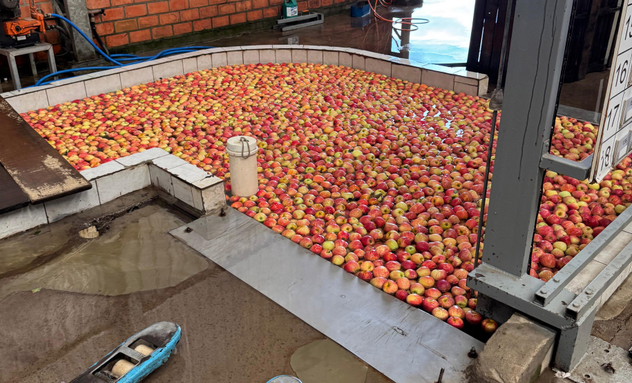 Paraná lidera inovação com tecnologia europeia adaptada para agricultura tropical