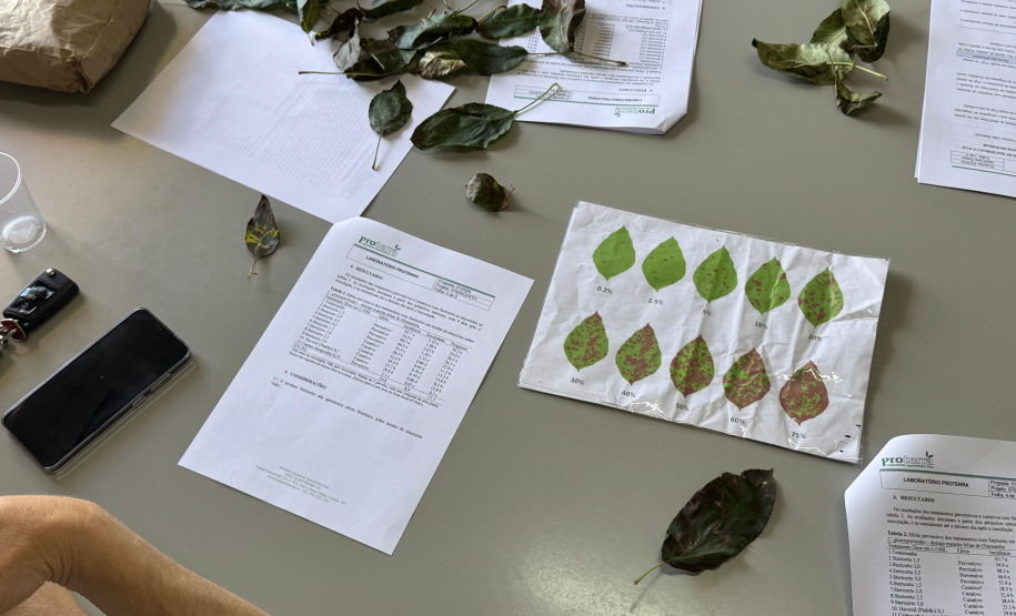 Paraná lidera inovação com tecnologia europeia adaptada para agricultura tropical