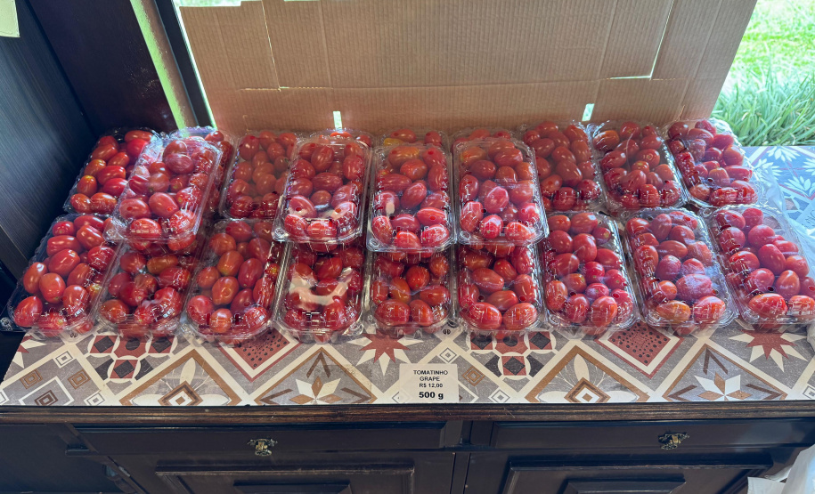 Paraná lidera inovação com tecnologia europeia adaptada para agricultura tropical