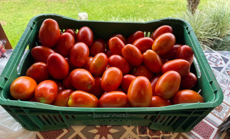 Paraná lidera inovação com tecnologia europeia adaptada para agricultura tropical