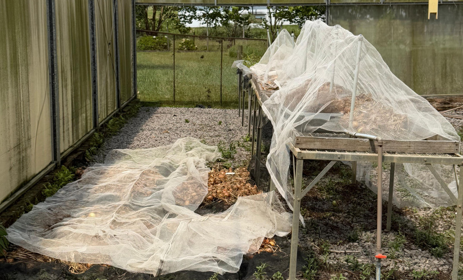 Paraná lidera inovação com tecnologia europeia adaptada para agricultura tropical