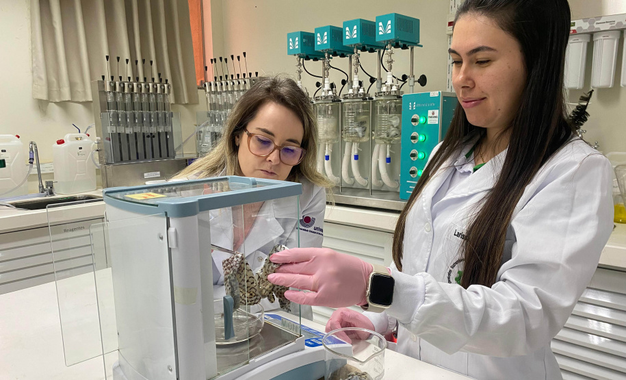 Paraná concorre a prêmio nacional com programa que transforma ciência em desenvolvimento regional