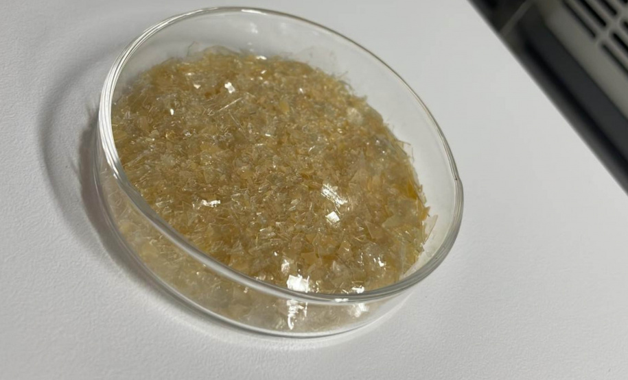 Paraná concorre a prêmio nacional com programa que transforma ciência em desenvolvimento regional