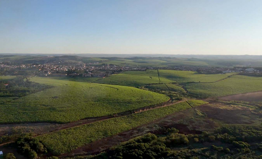 "Feito no Paraná" visita a Usina Bandeirantes: Uma Jornada pela Produção de Açúcar e Álcool