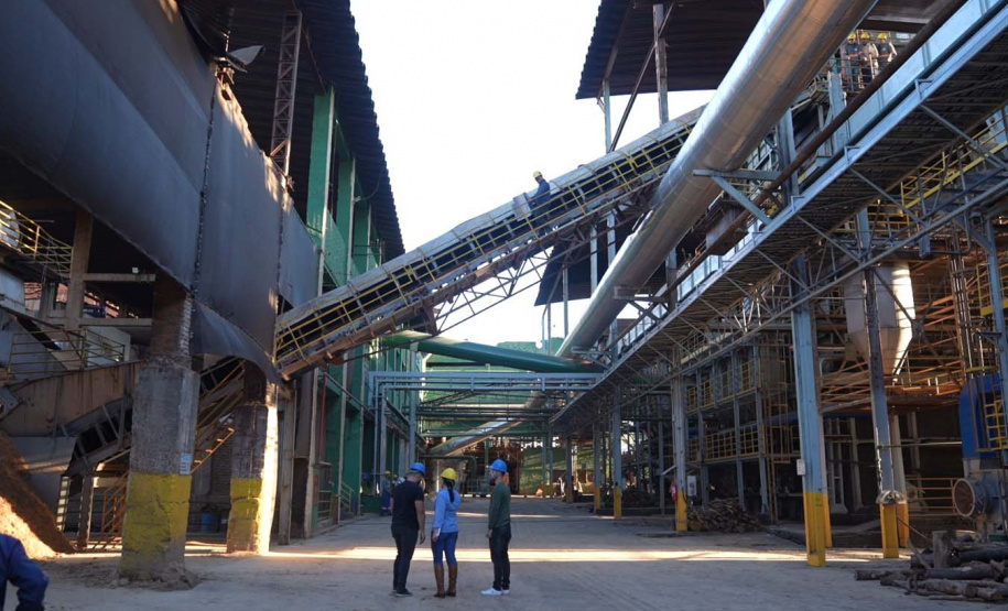 "Feito no Paraná" visita a Usina Bandeirantes: Uma Jornada pela Produção de Açúcar e Álcool