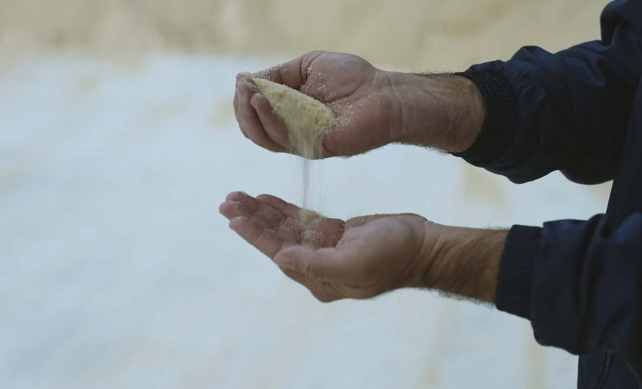 "Feito no Paraná" visita a Usina Bandeirantes: Uma Jornada pela Produção de Açúcar e Álcool