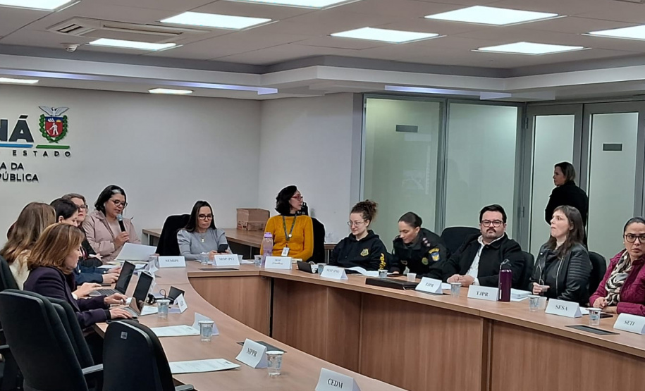 Paraná terá Plano de Metas para o enfrentamento da violência contra as mulheres