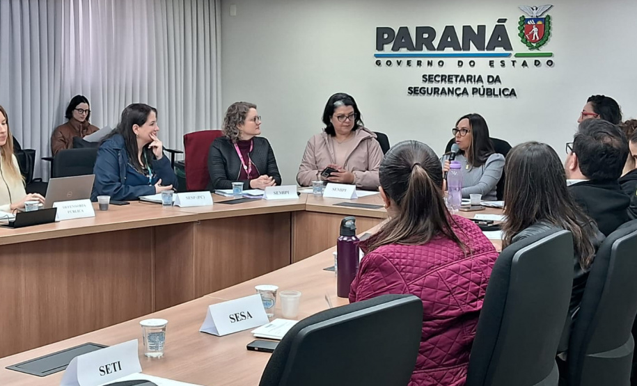 Paraná terá Plano de Metas para o enfrentamento da violência contra as mulheres
