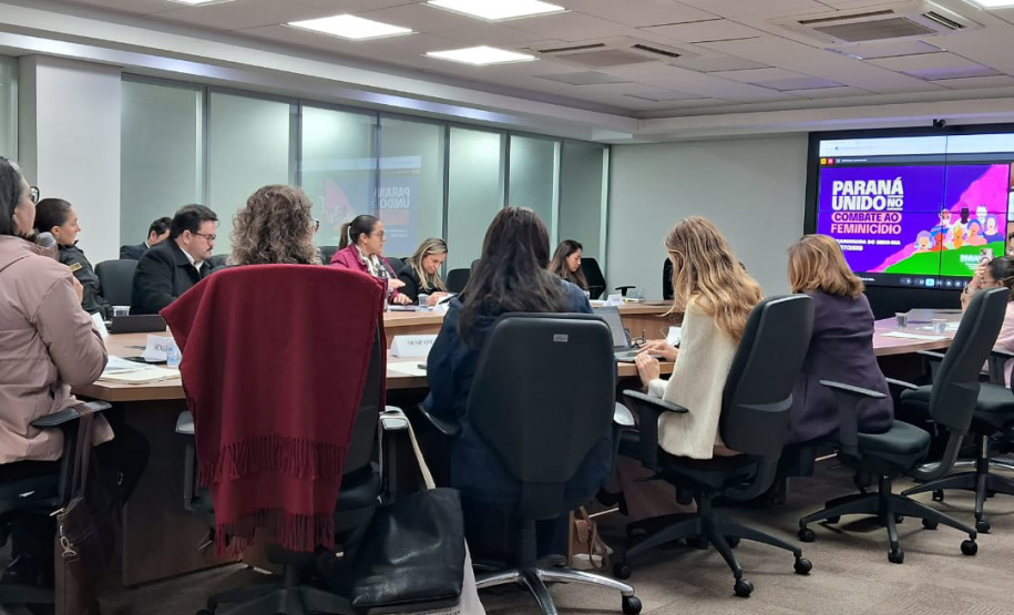 Paraná terá Plano de Metas para o enfrentamento da violência contra as mulheres