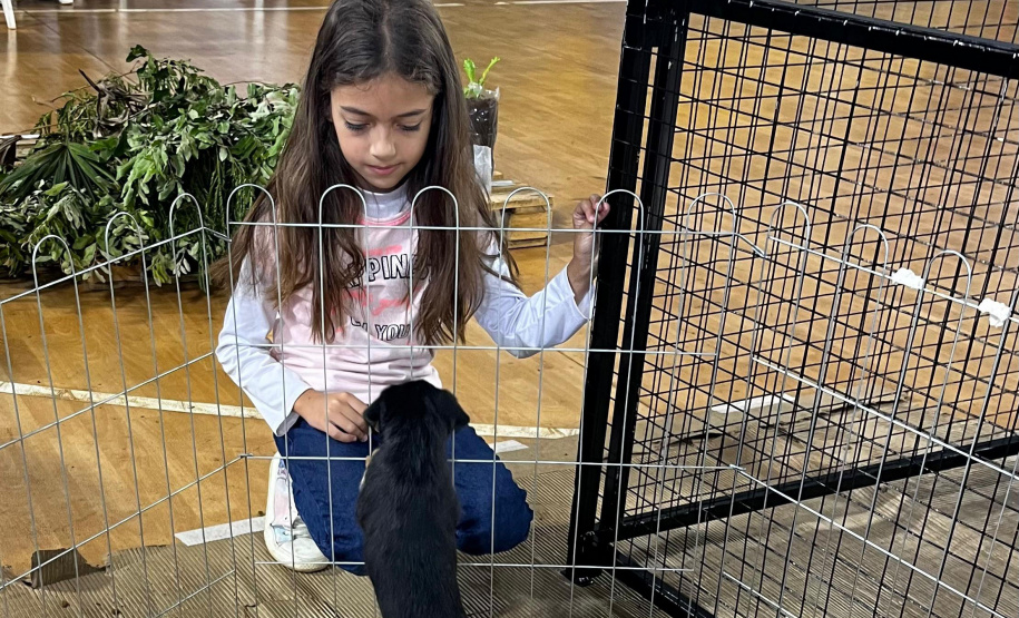 SEJU PARANÁ EM AÇÃO