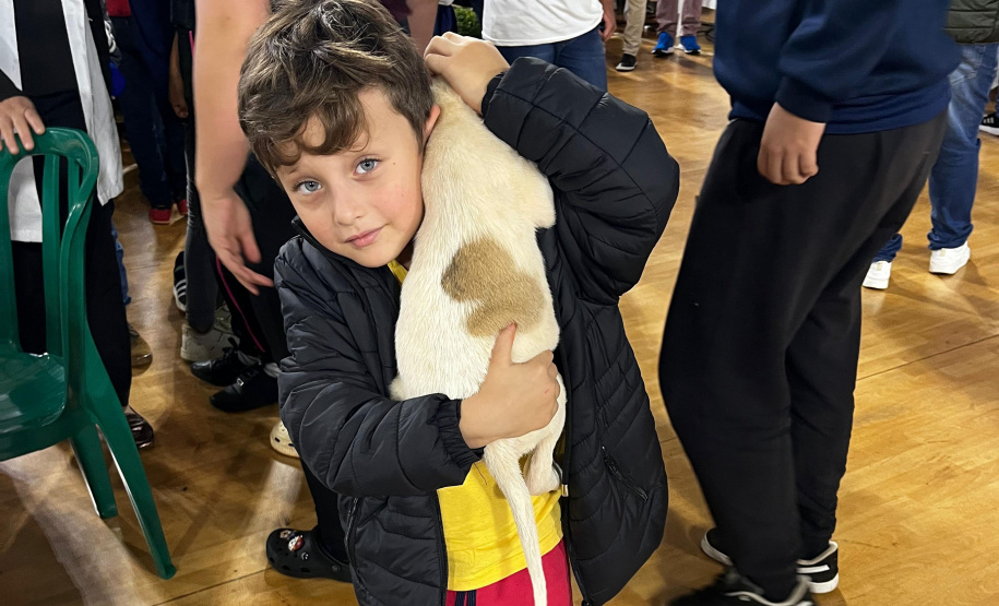 SEJU PARANÁ EM AÇÃO