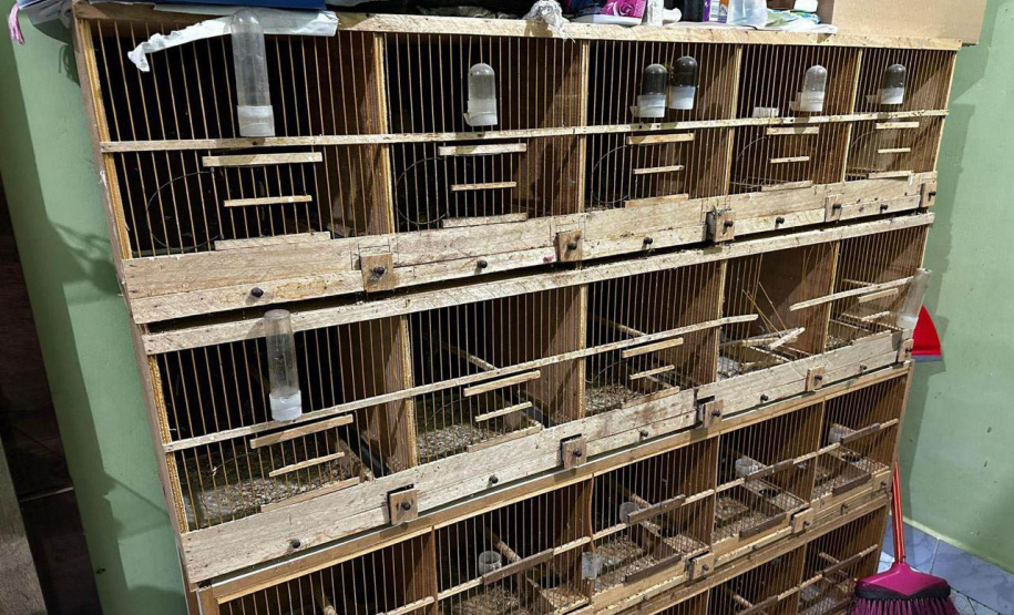 PCPR deflagra operação para desarticular um dos maiores grupos de tráfico internacional de animais do País