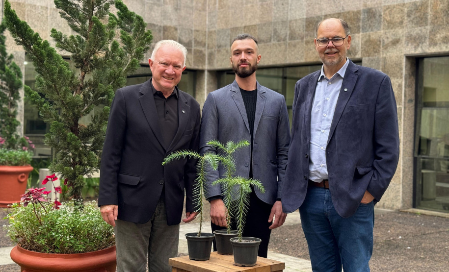 INOVAÇÃO - Bonsai de Araucária na Fundação Araucária