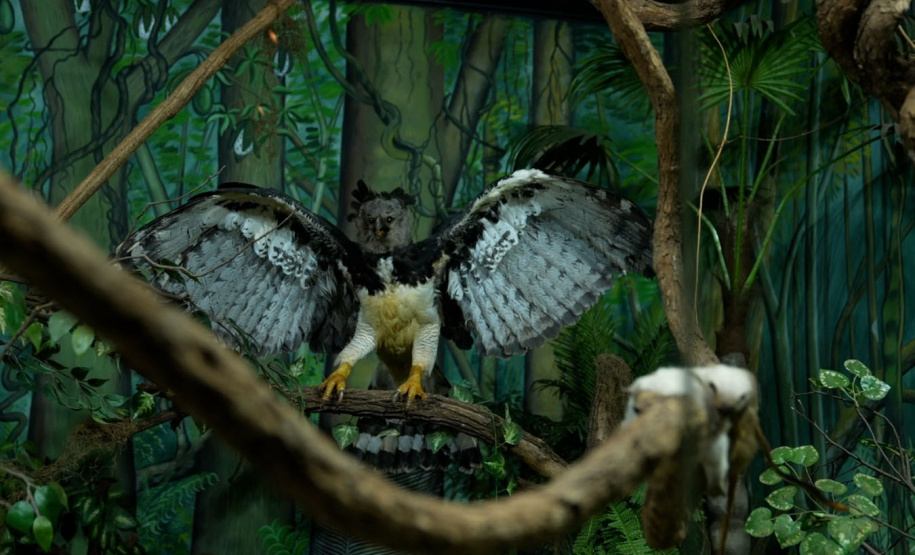 Visite Paraná" revela as belezas e os segredos de Cornélio Procópio