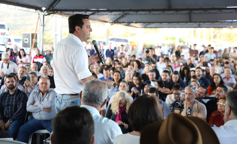 JANDAIA DO SUL - UFPR