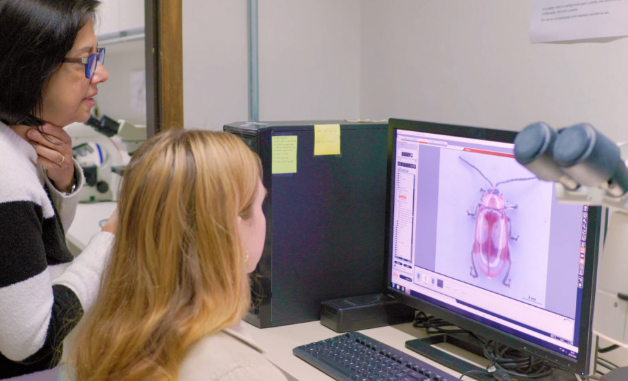 V Paraná Turismo estreia programa sobre ciência e inovação nas universidades estaduais