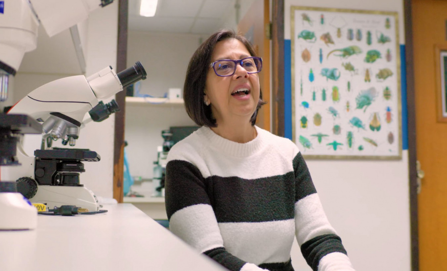 V Paraná Turismo estreia programa sobre ciência e inovação nas universidades estaduais