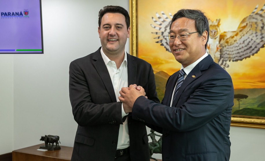 GOVERNADOR XBRI Pneus