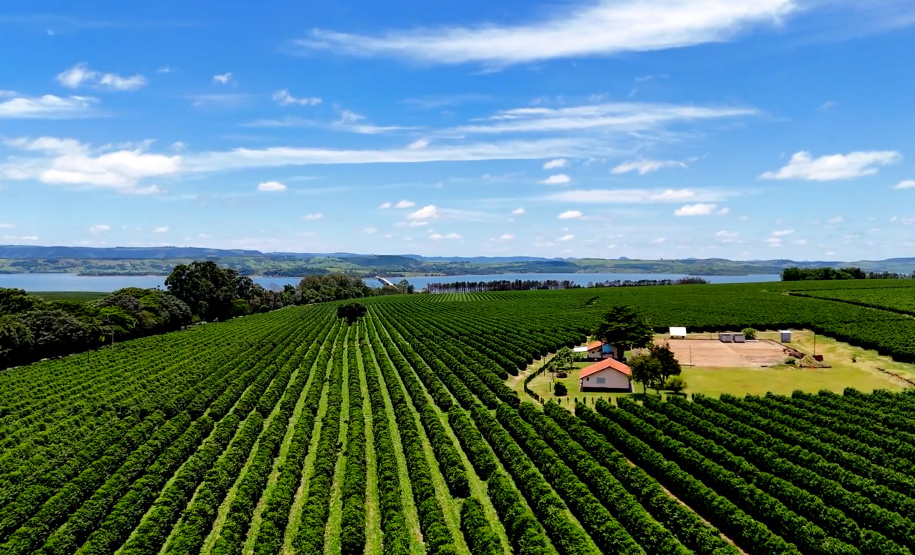 Valorização: café de Mandaguari conquista a 20ª Indicação Geográfica do Paraná