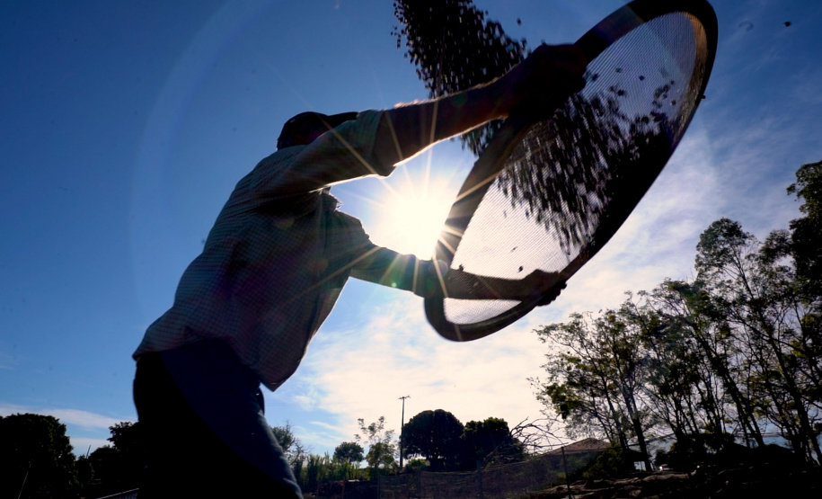 Valorização: café de Mandaguari conquista a 20ª Indicação Geográfica do Paraná