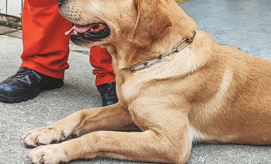 Grupo de Operações de Socorro Tático (GOST) do Corpo de Bombeiros Militar do Paraná (CBMPR)