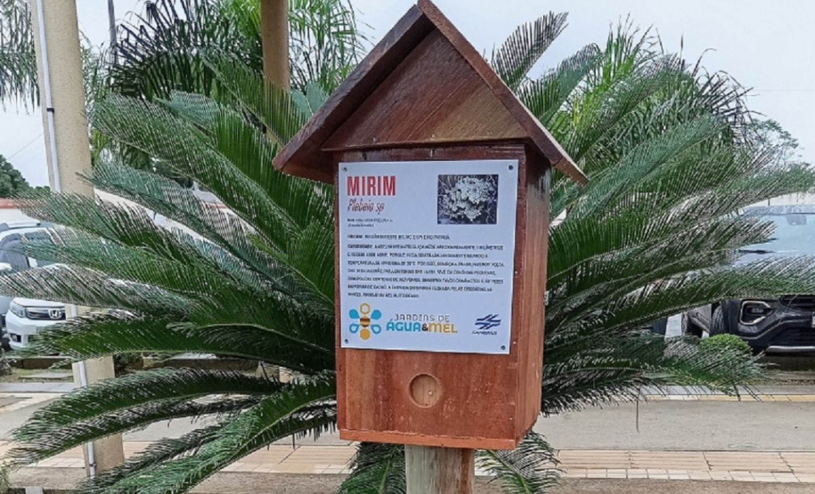 Sanepar inicia 20 atividades em Mangueirinha para falar de saneamento e meio ambiente