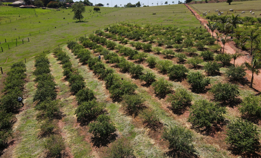 Fomento Paraná abre nova chamada pública para selecionar projetos de FIDCs do Agro