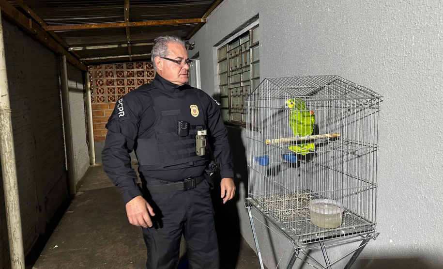 PCPR deflagra operação contra organização envolvida com tráfico e tribunal do crime em Jacarezinho