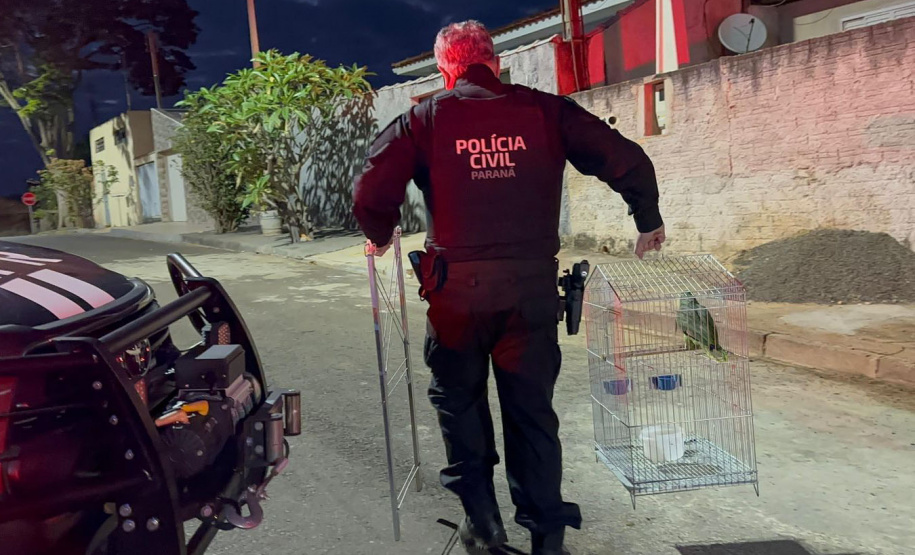 PCPR deflagra operação contra organização envolvida com tráfico e tribunal do crime em Jacarezinho