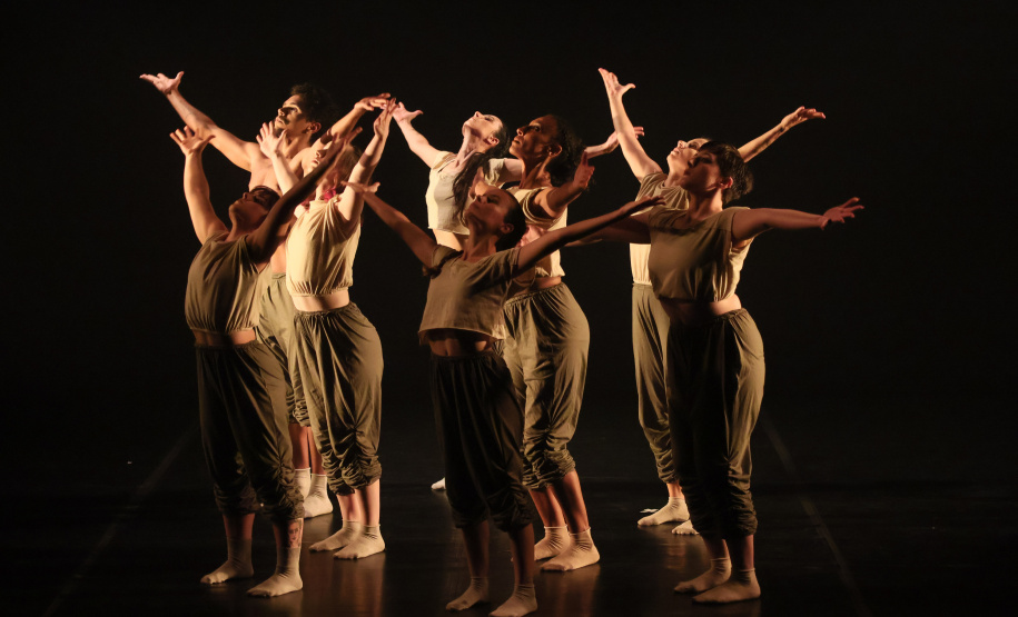 “Para Onde Foram as Andorinhas?”: espetáculo de dança reflete sobre questões ambientais