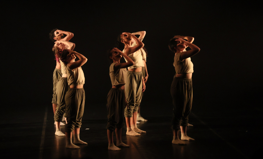 “Para Onde Foram as Andorinhas?”: espetáculo de dança reflete sobre questões ambientais