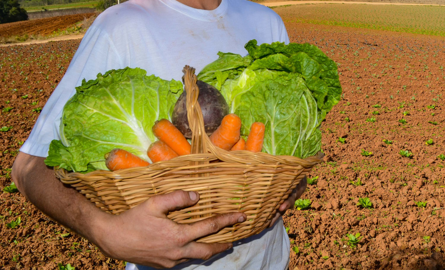 Paraná passa a 352 municípios com adesão ao Sistema de Segurança Alimentar
