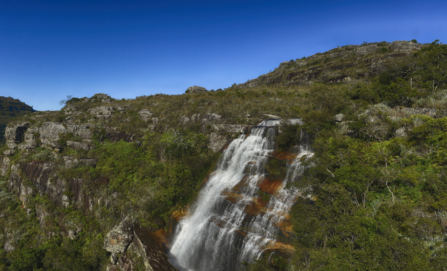 Novo recorde: Unidades de Conservação do Paraná receberam mais de 336 mil visitantes no primeiro semestre de 2025.