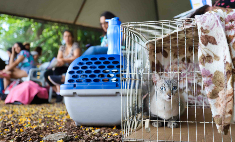 5º ciclo: 84 municípios do Paraná vão receber o programa CastraPet Paraná pela primeira vez