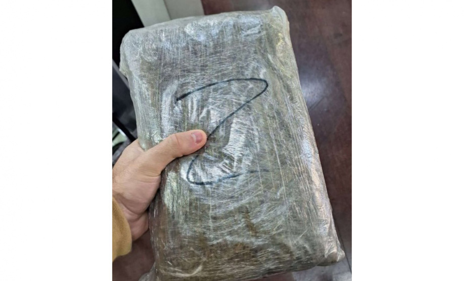 PCPR apreende 327 quilos de maconha gourmet e prende três pessoas por tráfico